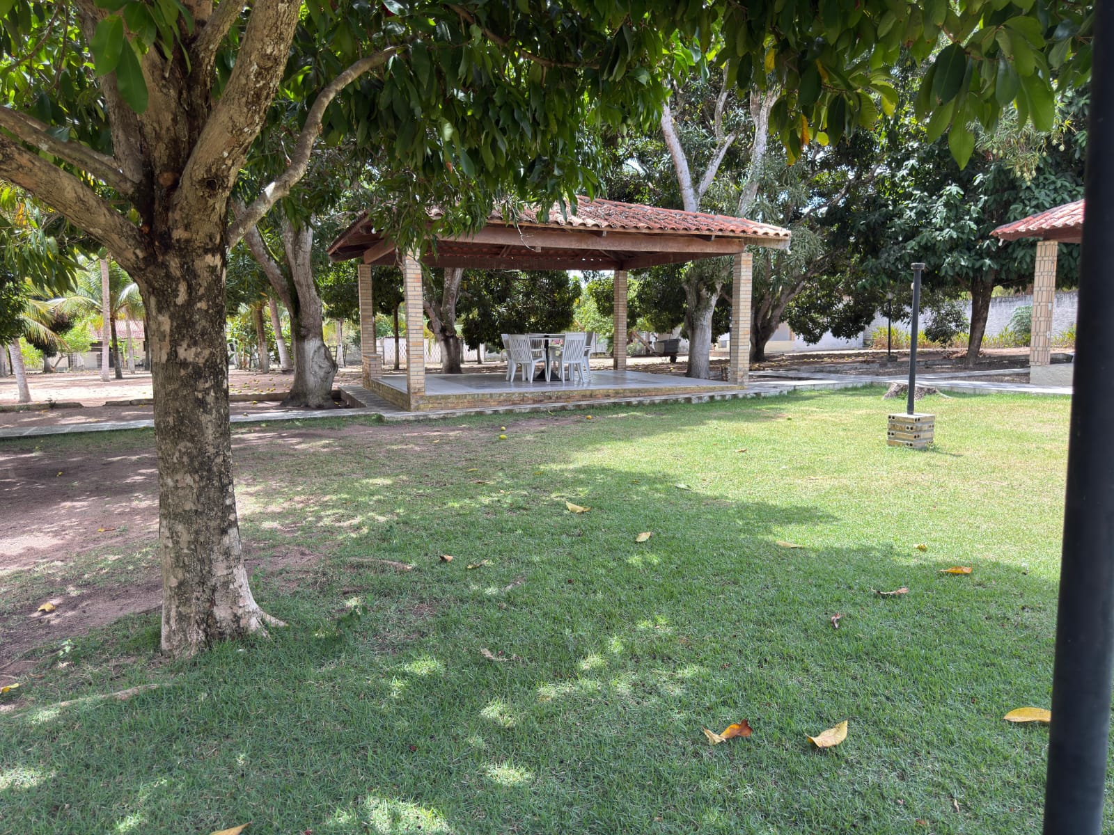 Áreas verdes arborizadas